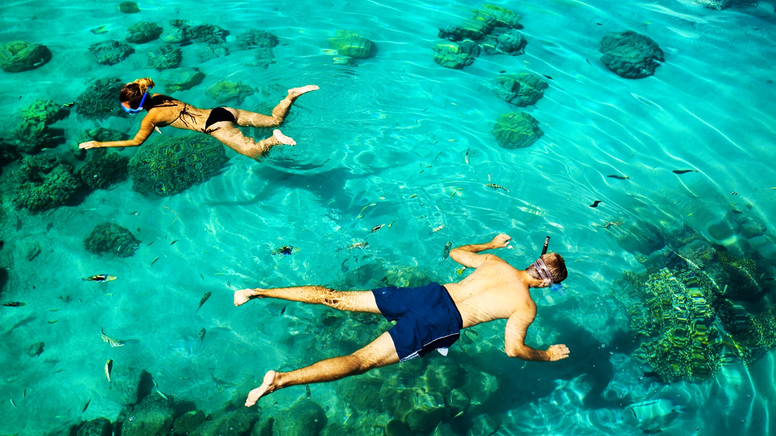 Couple Snorkeling Over Coral Reefs Near Dry Tortugas National Park
